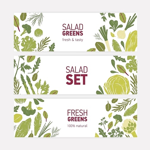collection of modern web banner templates with green vegetables, fresh salad leaves and spice herbs on white background. vector illustration for  friendly organic products advertising, promo