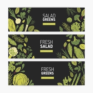 Set of horizontal web banner templates with green vegetables, fresh salad leaves and spice herbs on black background. Vector illustration for vegan organic food products advertisement, promotion.