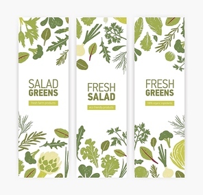 Bundle of vertical web banner templates with green vegetables, fresh salad leaves and spice herbs on white background. Vector illustration for eco friendly organic products advertisement, promotion