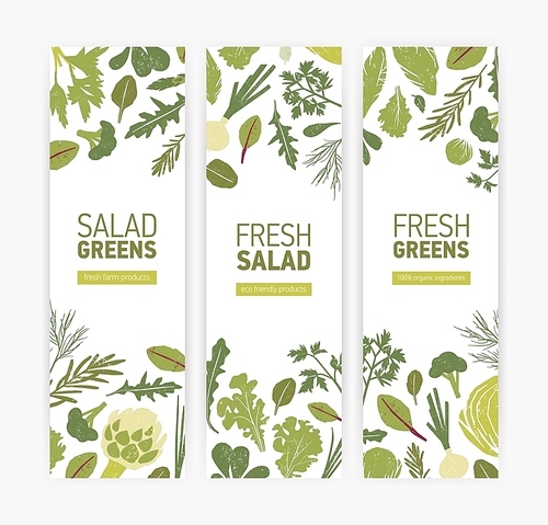bundle of vertical web banner templates with green vegetables, fresh salad leaves and spice herbs on white background. vector illustration for  friendly organic products advertisement, promotion
