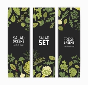 Bundle of vertical banner templates with fresh tasty salad leaves and spice herbs on black background. Vector illustration for natural vegetarian healthy food products advertisement, promotion.