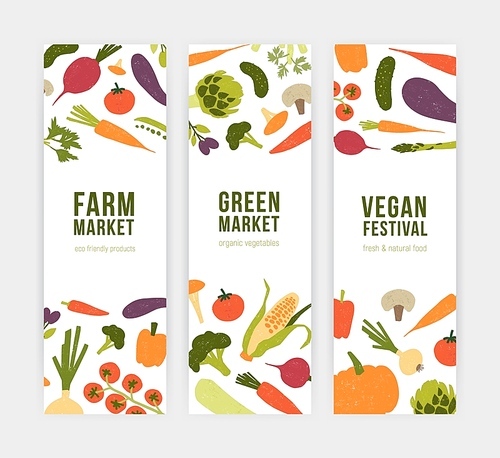 Collection of modern vertical banner templates with fresh organic delicious vegetables and place for text. Vector illustration for farm market, vegan or vegetarian festival promotion, advertisement.