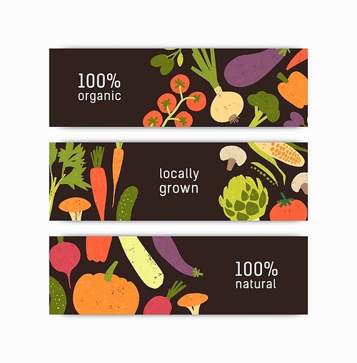 Set of horizontal banner templates with harvested crops or locally grown vegetables and place for text on black background. Vector illustration for vegetarian festival or green grocery store promo