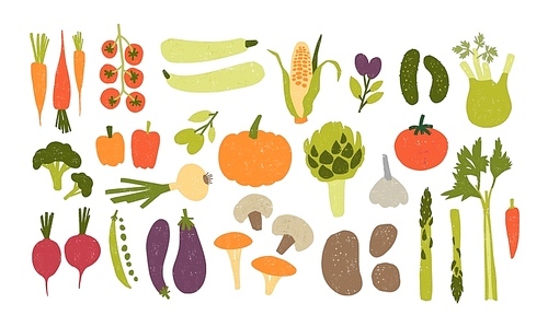Collection of colorful hand drawn fresh delicious vegetables isolated on white . Bundle of healthy and tasty vegan products, wholesome vegetarian food. Flat cartoon vector illustration.