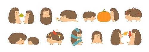 Collection of adorable hedgehogs carrying mushrooms and berries, playing with autumn leaves, sleeping. Set of cute forest animals isolated on white . Flat cartoon vector illustration