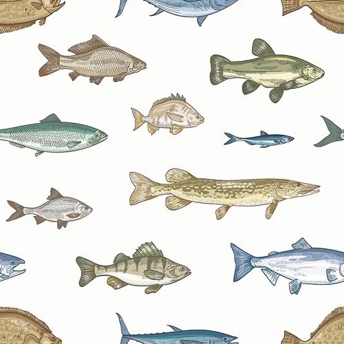 Elegant seamless pattern with different types of fish on light background. Backdrop with underwater animals or aquatic creatures living in sea, ocean, lake. Vector illustration in vintage style