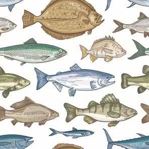 Elegant seamless pattern with different types of fish on light background. Backdrop with marine or freshwater animals, aquatic creatures. Hand drawn vector illustration in vintage style for wallpaper