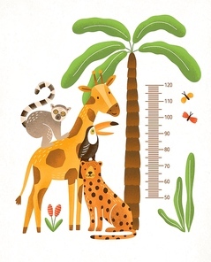Children's height wall chart in centimeters decorated with tropical palm tree, jungle plants and funny cartoon exotic animals. Colorful vector illustration in flat style for kids growth measurement