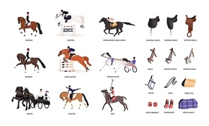 Collection of various horse gaits and tools for horseback riding or equestrianism isolated on white background. Beautiful competitive sport. Colorful vector illustration in flat cartoon style.