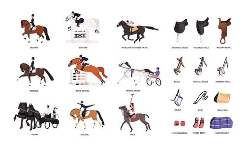 Collection of various horse gaits and tools for horseback riding or equestrianism isolated on white . Beautiful competitive sport. Colorful vector illustration in flat cartoon style.