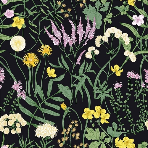 Botanical seamless pattern with flowering perennial plants. Natural backdrop with blooming wild meadow flowers on black background. Realistic floral vector illustration for wallpaper, fabric