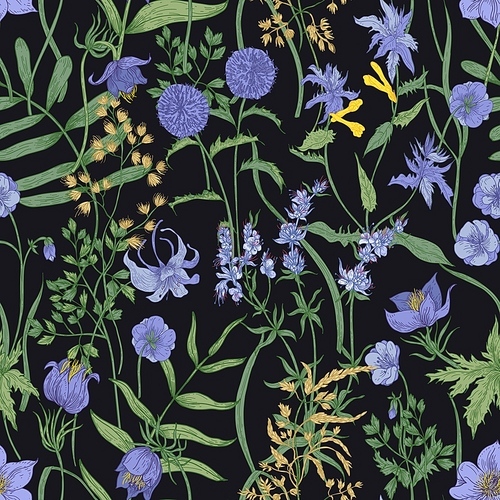 Floral seamless pattern with flowering herbaceous plants and wildflowers. Summer backdrop with blooming purple flowers on black background. Hand drawn vector illustration in elegant vintage style