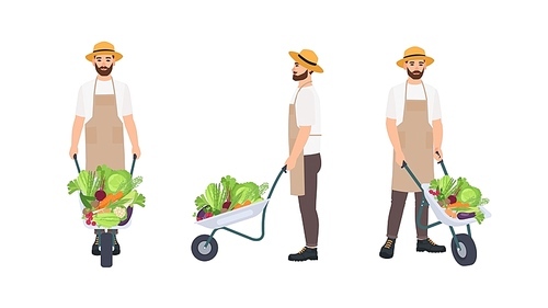Farmer or agricultural worker pulling wheelbarrow full of gathered crops. Male cartoon character isolated on white . Front, back and side views. Colorful vector illustration in flat style.