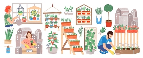 Urban gardening collection. People living in city cultivating plants, growing crops or vegetables in pots at home or on balcony isolated on white . Colorful hand drawn vector illustration