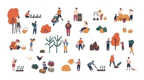 Crowd of tiny people gathering crops or seasonal harvest. Bundle of men and women collecting ripe fruits, berries and vegetables isolated on white . Flat cartoon vector illustration.