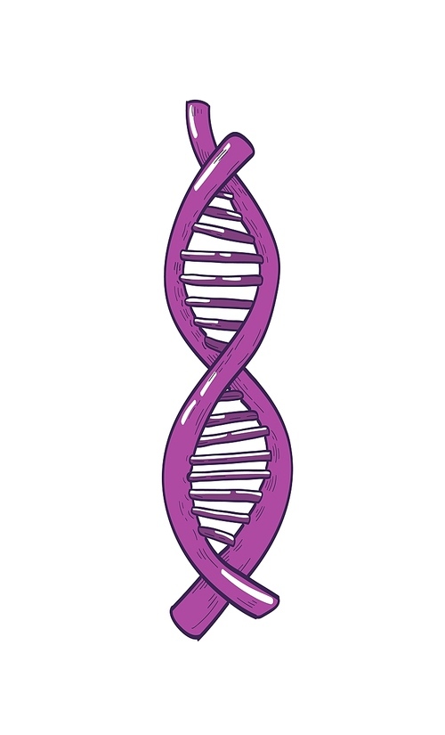 DNA or deoxyribonucleic acid molecule carrying genetic information isolated on white . Double helix structure. Biology, genetics and genomics. Realistic colorful vector illustration