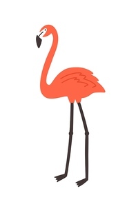 Flamingo isolated on white background. Graceful exotic tropical bird with bright pink plumage. Cute adorable avian. Wild fauna of tropics or jungle. Vector illustration in flat cartoon style