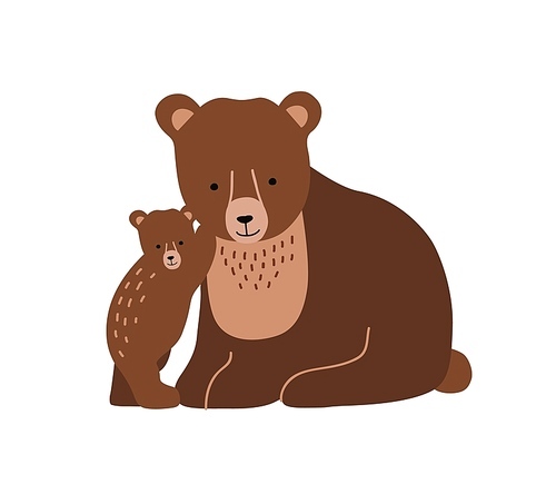 Brown bear and cub isolated on white . Cute lovely family of wild forest carnivorous animals. Parent with youngling, mother and offspring. Flat cartoon colorful vector illustration