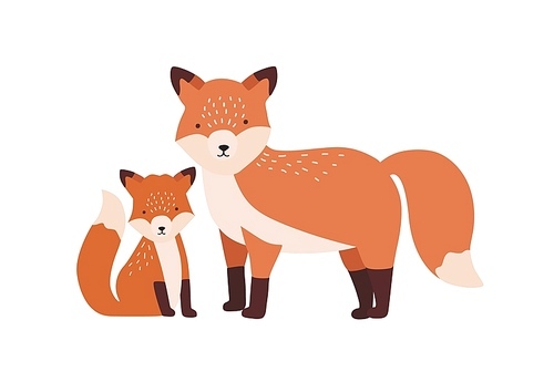 Fox with cub or pup isolated on white . Family of funny wild carnivorous forest animals. Parent with youngling, mother and baby or offspring. Flat cartoon colorful vector illustration