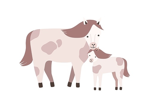 Horse and foal or colt isolated on white . Family of wild or domestic herbivorous animals. Parent with youngling, mother and baby or offspring. Flat cartoon colorful vector illustration