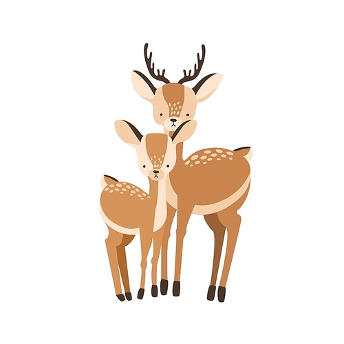 Deer with fawn isolated on white . Family of wild forest herbivorous animals. Chital parent with child or youngling, mother or father and baby. Flat cartoon childish vector illustration