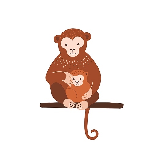 Monkey with baby sitting on tree branch isolated on white . Family of wild exotic jungle animals. Parent with youngling, mother and child. Flat cartoon colorful vector illustration