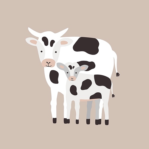 Cow with calf isolated on white . Family of funny domestic herbivorous animals, cattle or livestock. Cute parent with child, mother and baby. Flat cartoon childish vector illustration