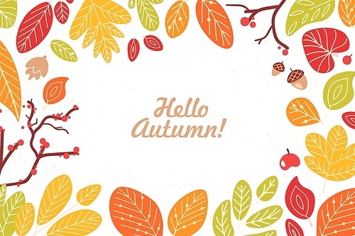 Background or backdrop with frame or border made of fallen dried leaves, acorns, cones, berries and Hello Autumn phrase written with cursive calligraphic font. Seasonal decorative vector illustration