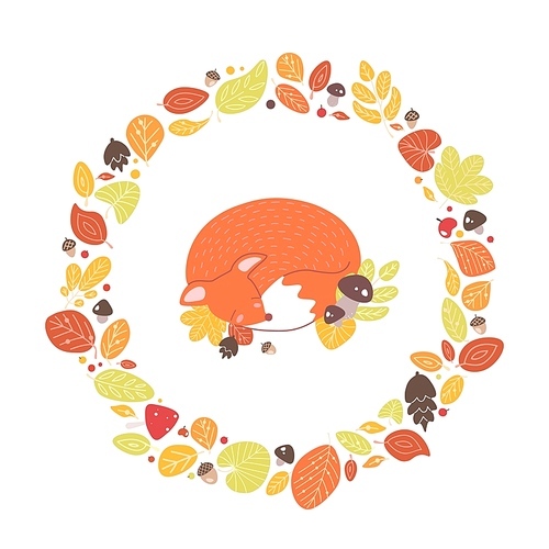 Fox sleeping inside circular frame or wreath made of fallen leaves, acorns, cones. Decorative composition with forest animal surrounded by dried foliage. Seasonal flat cartoon vector illustration