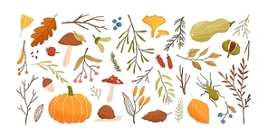 Autumn set. Collection of hand drawn fallen leaves, vegetables, berries, acorns, forest mushrooms, tree branches isolated on white . Elegant seasonal vector illustration in realistic style