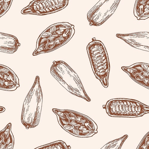 Cocoa pod with seeds vector seamless pattern. Cacao sprout with chocolate beans on pastel background. Organic food, hand drawn exotic plant. Tropical sweets wrapping paper, wallpaper textile design