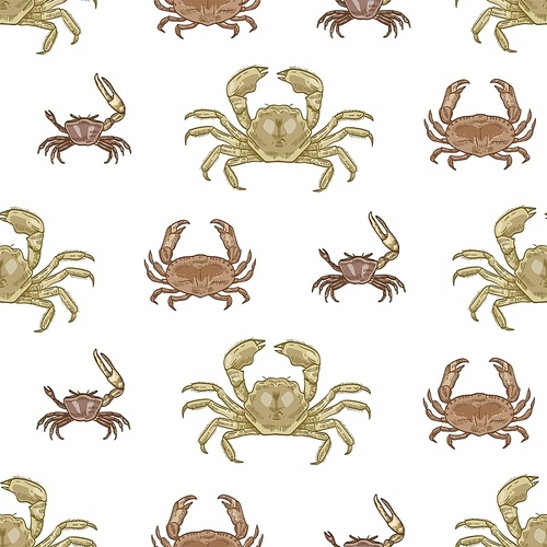 Seamless pattern with various types of crabs on white background. Natural backdrop with aquatic animals. Elegant realistic vector illustration in vintage style for wrapping paper, textile print