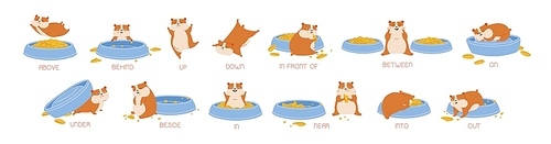 Set of hamster demonstrating English prepositions of place and movement. Bundle of funny animal with feeder and words demonstration. Educational flat cartoon vector illustration for language learning