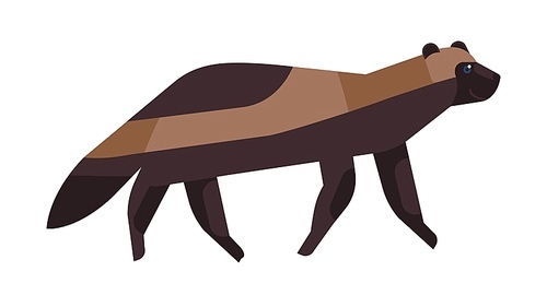 Gulo gulo flat vector illustration. Minimalist wolverine drawing. Brown glutton, carcajou, skunk bear, quickhatch endangered species clipart. Wild animal, wolverene isolated on white 
