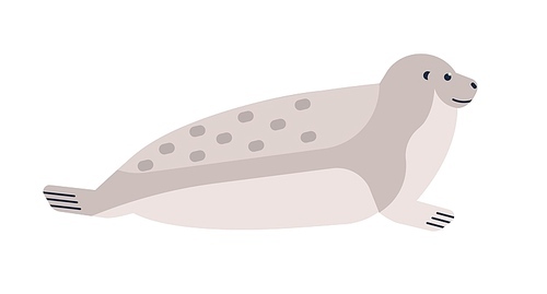 Nerpa flat vector illustration. Baikal seal minimalist drawing isolated on white . Marine mammal side view. Pinniped endemic carnivore. Funny common seal, Pusa species clipart