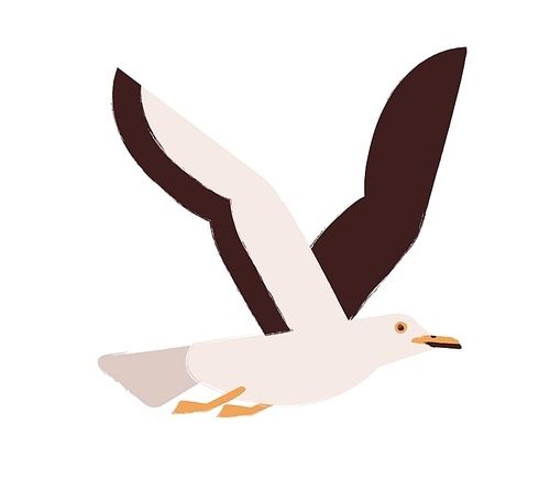 Flying gull with wings up flat vector illustration. Marine seagull. Wildlife fauna species. Cute winged creature. Wild animal. Bright colored seabird taking flight isolated on white 