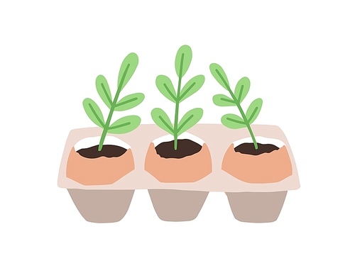 Sprouts or seedlings growing in pots or planters isolated on white . Plant germination and growth, houseplant cultivation, home gardening. Flat cartoon colorful vector illustration