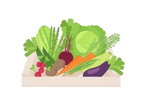 Ripe organic vegetables in wooden box isolated on white . Gathered natural crops in crate. Harvest, pile of healthy fresh food, farm products. Flat cartoon colorful vector illustration