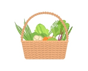 Fresh organic vegetables in wicker basket isolated on white . Ripe gathered natural crops in crate. Harvest, healthy food, wholesome farm products. Flat cartoon colorful vector illustration