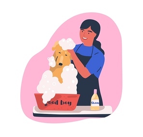 Dog washing service flat vector illustration. Hairdresser shampooing cute domestic animal cartoon character. Happy owner bathing pet in soap foam isolated clipart. Retriever puppy in grooming salon