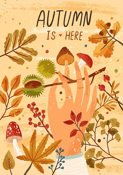 Autumn is here flat greeting card vector template. Fall season postcard, poster layout. Mushrooms picking hobby, active outdoor recreation concept. Hand holding buckeye illustration with typography