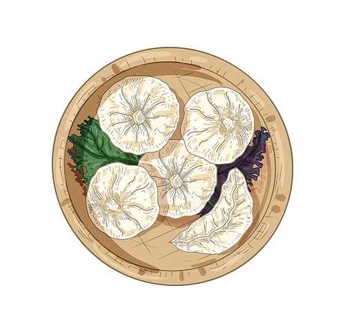 Dim sum hand drawn vector illustration. Malaysian dumplings top view. Asian food with basil leaves in bamboo plate isolated on white . Malaysia traditional cuisine realistic drawing