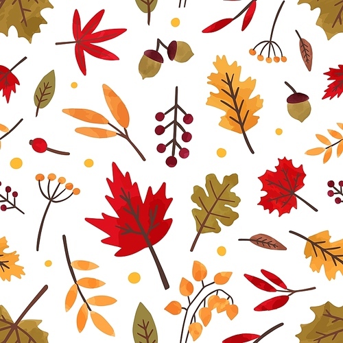 Autumn foliage hand drawn vector seamless pattern. Different tree leaves and berries decorative texture. Fall season foliage, forest flora flat illustration. Floral textile, wallpaper design