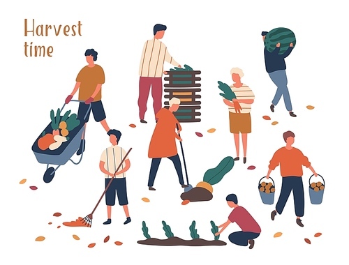 Autumn harvest time flat vector illustrations set. Farmers working in field, gathering crop. Fruits and vegetables fall season harvesting. Female and male gardeners isolated characters on white
