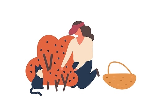 Girl picking forest berries flat vector illustration. Woman gathering blueberries harvest isolated design element. Female gardener and cat cartoon characters. Fall fruits crop, produce