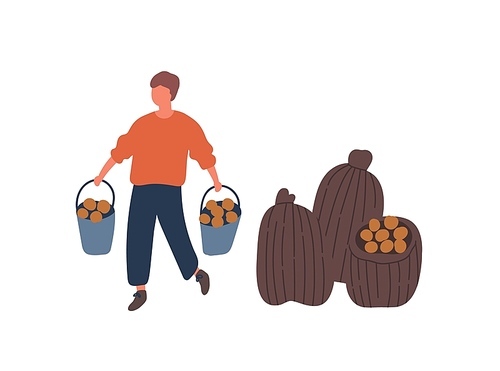 Farmer harvesting potatoes flat vector illustration. Young rancher, farm worker carrying buckets cartoon character. Seasonal husbandry chores design element. Agriculture, rural economy concept