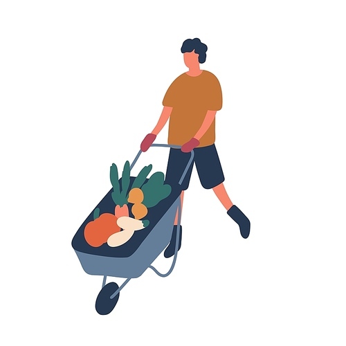 Farmer transporting vegetables flat vector illustration. Young rancher cartoon character. Man pushing trolley with raw veggies isolated on white . Seasonal farming chores, agriculture