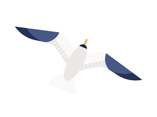 Flying seagull flat vector illustration. Gliding gull with spread wings minimalistic sign. Marine bird, nautical wildlife top view. Feathered animal, seabird, sea mew isolated on white 