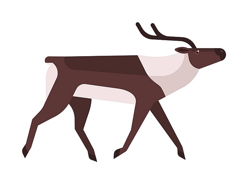 Majestic deer, reindeer flat vector illustration. Wild stag, wapiti minimalistic sign. Forest fauna, woodland wildlife, cervus, elaphus side view. Hunting season symbol isolated on white 