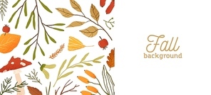 Fall season flat vector background. Autumn botanical colorful banner template with place for text. Dried leaves, twigs and mushroom decorative backdrop. Natural forest leafage illustration